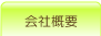 ЊTv